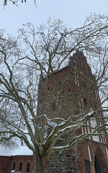 Foto: Teresa Esteban, Lizenz: Museum für Stadtgeschichte