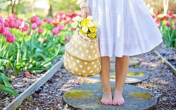 Foto: Jill Wellington