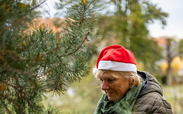 Weihnachtlicher Rundgang, Foto: Gilde der Stadtführer, Lizenz: Gilde der Stadtführer