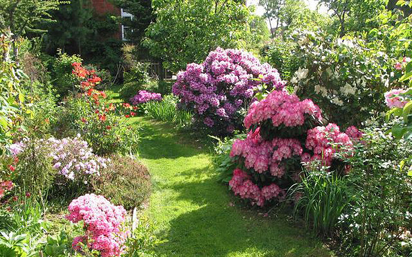 Foto: TVEEL, Lizenz: TVEEL