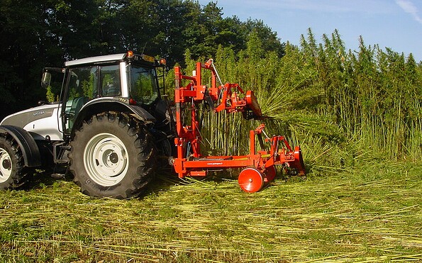 Foto: Aleks, Lizenz: Aleks