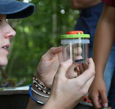 Wildtierhilfe im Frühling - Winterferienprogramm