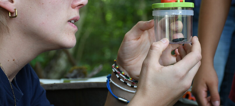 Wildtierhilfe im Frühling - Winterferienprogramm