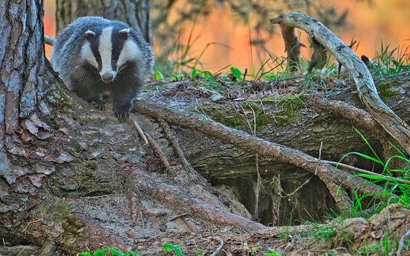 Foto: Ben Lorenz, Lizenz: Ben Lorenz