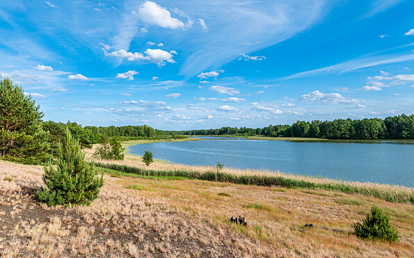 Foto: Dr. Tilo Geisel