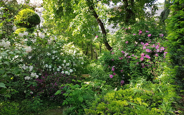 Foto: TVEEL, Lizenz: TVEEL