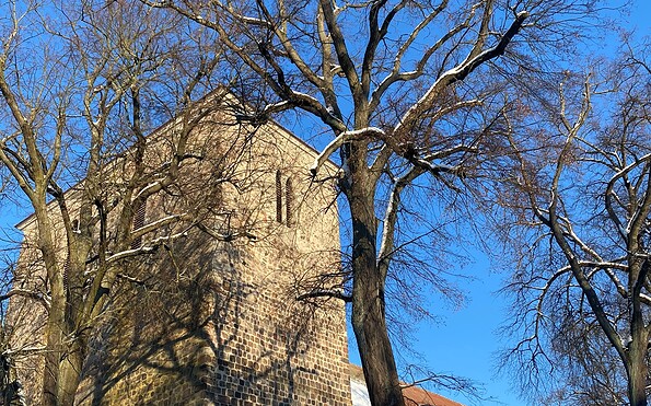 Foto: Vivien Reimann