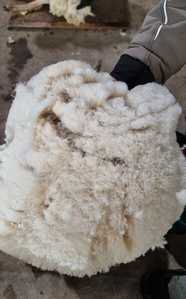 Foto: Hanna Präger, Lizenz: LFV