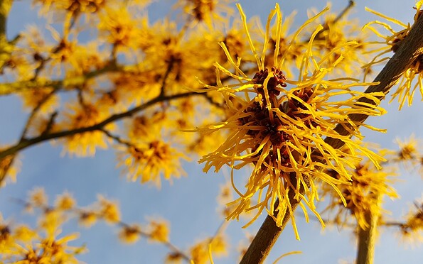 Foto: Ute Bernhardt, Lizenz: Ute Bernhardt