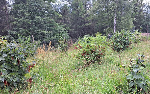 Foto: Frau Kirsch, Lizenz: Frau Kirsch