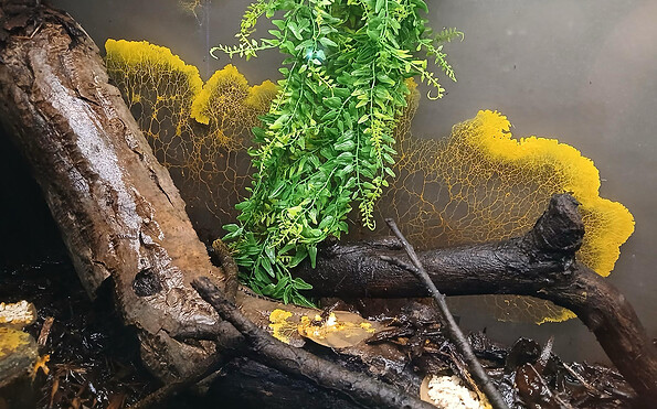 Foto: NANO, Lizenz: NANO