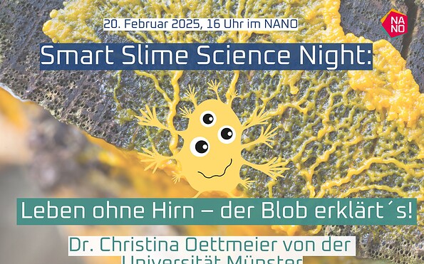 Foto: NANO, Lizenz: NANO