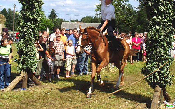 Hahnrupfen, Foto: Michael Schön, Lizenz: Amt Burg (Spreewald)