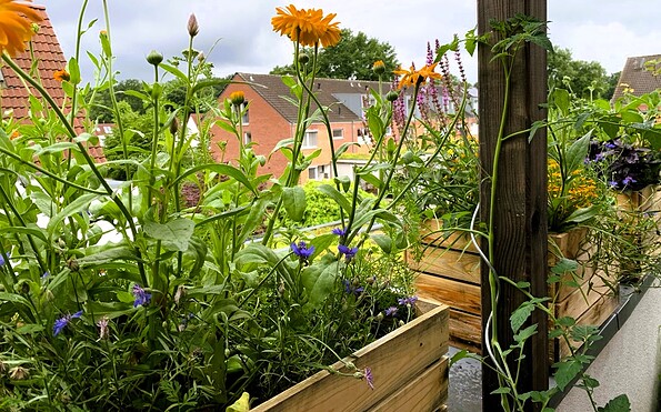 Foto: Angela Hachmeister, Lizenz: Angela Hachmeister