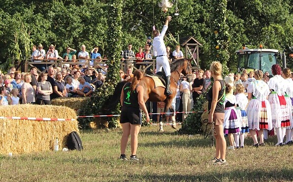 Traditionelles Hahnrupfen, Foto: Marius Richter, Lizenz: Marius Richter