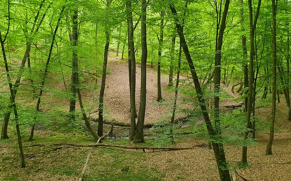 Foto: Lydia Brusendorf