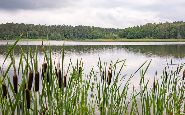 Foto: Torsten Stapel, Lizenz: Torsten Stapel