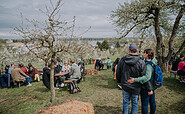 Baumblüte auf den Plantagen, Foto: Manuel Gutjah, Lizenz: Stadt Werder (Havel)