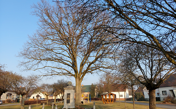 Foto: Gabriele Werner