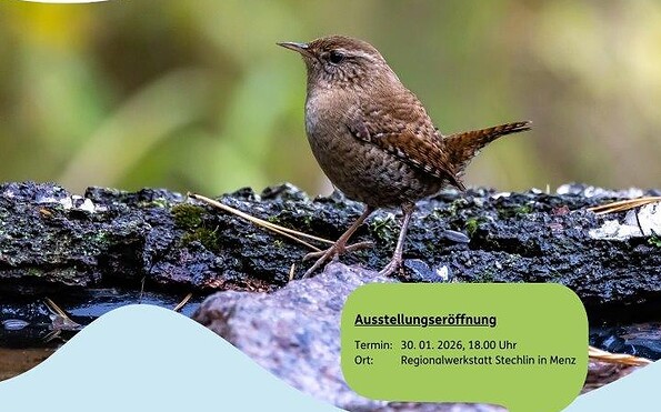 Foto: NP SRL, Lizenz: NP SRL