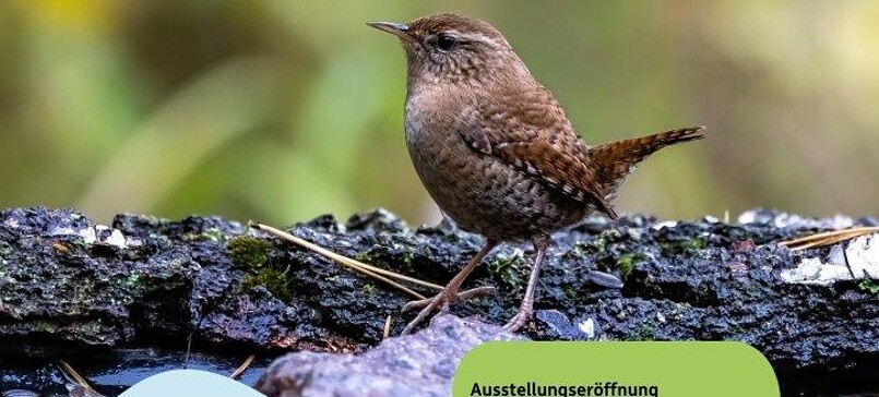 NahNatur - zwischen Licht und Leben