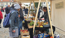 Zehdenicker Regionalmarkt