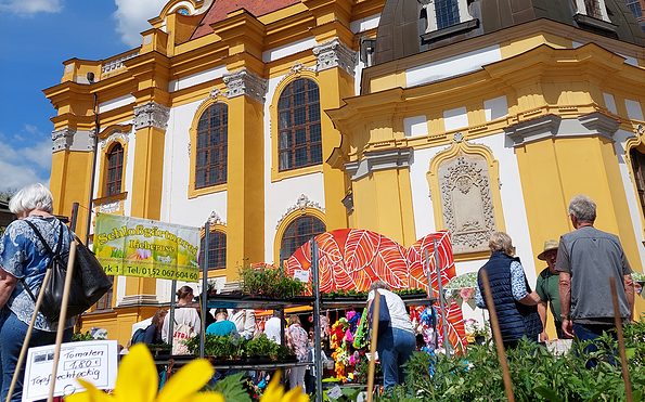 Foto: Gabriele Werner