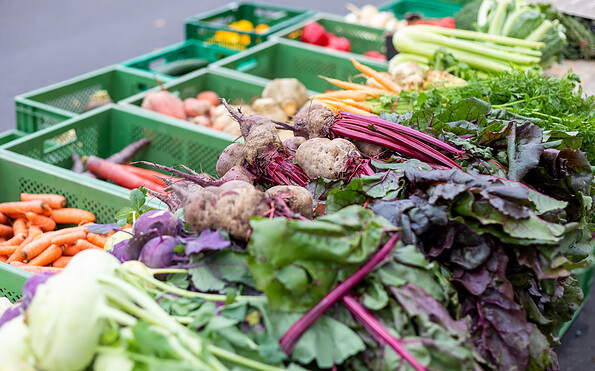 Foto: Andreas Franke, Lizenz: CMT Cottbus