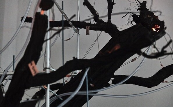 Foto: Raphaël Fischer-Dieskau, Lizenz: Raphaël Fischer-Dieskau