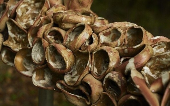 Foto: Raphaël Fischer-Dieskau, Lizenz: Raphaël Fischer-Dieskau