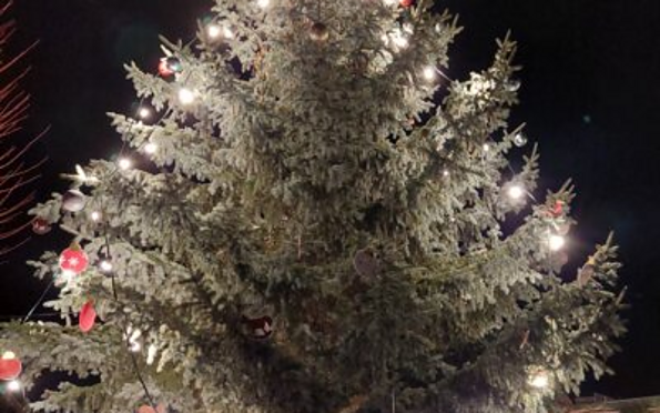 Foto: Gabriele Werner