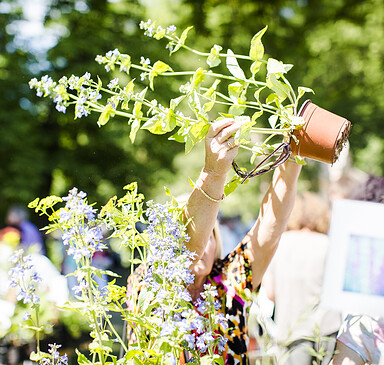 Foto: Florian Bröcker, Lizenz: Florian Bröcker