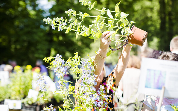 Foto: Florian Bröcker, Lizenz: Florian Bröcker
