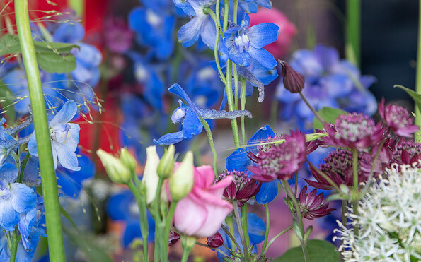 Foto: Thomas Goethe, Lizenz: Thomas Goethe