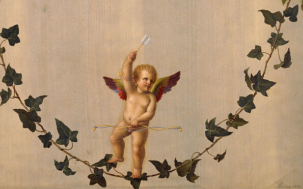 Amor auf einer zwischen Rosenbouquets hängenden Efeuranke, Foto: SPSG, Lizenz: SPSG