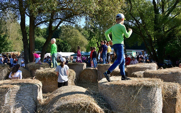 Foto: Annemarie Weller, Lizenz: LFV