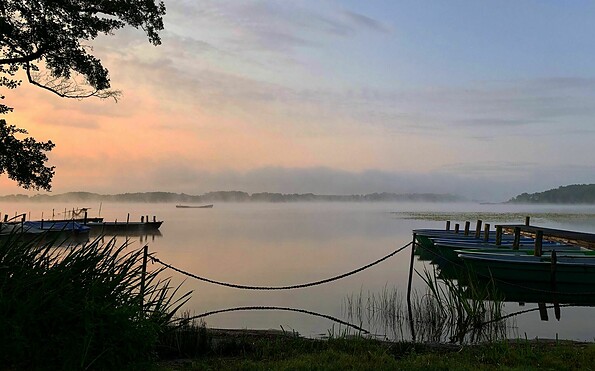 Naturgut Köllnitz, Foto: Artprojekt, Lizenz: Artprojekt