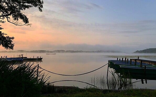 Naturgut Köllnitz, Foto: © Artprojekt, Lizenz: © Artprojekt