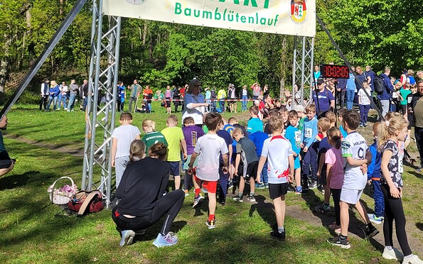 Foto: Stadt Werder (Havel), Lizenz: Stadt Werder (Havel)