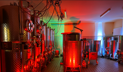 Kellerführung mit Frischwein aus dem Tank