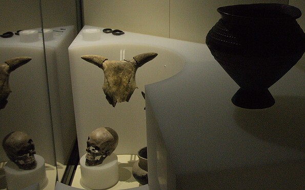 Foto: Michael Schneider, Lizenz: BLDAM