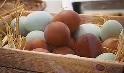 Ostermontagsfrühstück