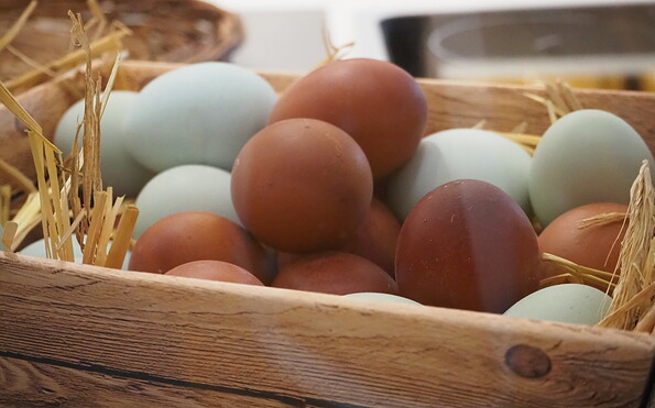 Foto: Monique Bessert, Lizenz: Tourismusverband Prignitz e. V.