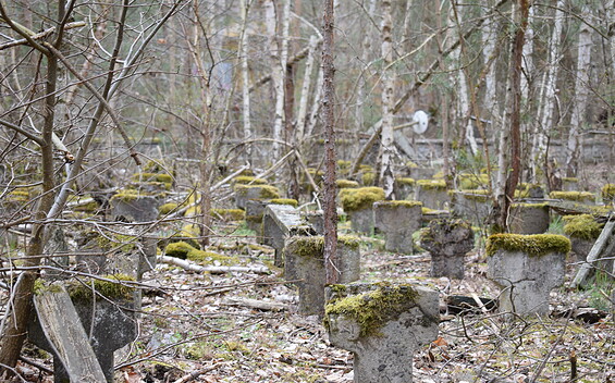 Foto: Stadt Jüterbog, Lizenz: Stadt Jüterbog