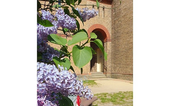 Foto: Landkreis Potsdam-Mittelmark, Lizenz: Landkreis Potsdam-Mittelmark