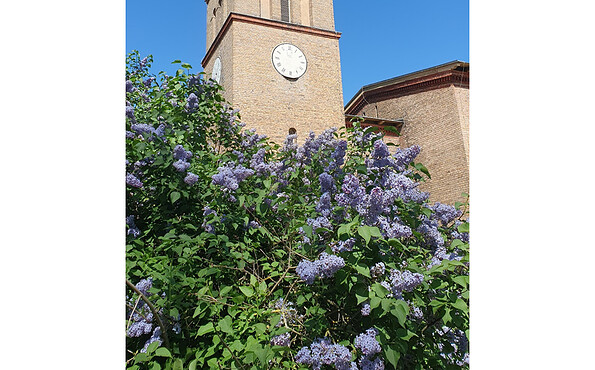 Foto: Landkreis Potsdam-Mittelmark, Lizenz: Landkreis Potsdam-Mittelmark