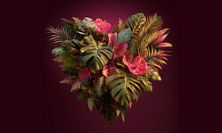 Valentinstag-Dinner unter Palmen