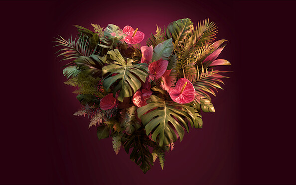 Foto: Biosphäre Potsdam, Lizenz: Biosphäre Potsdam