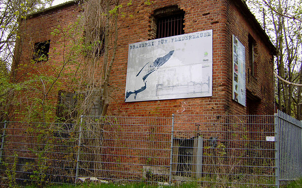 Fledermausquartier Frankfurt (Oder), Foto: Gernot Preschel, Lizenz: BUND Brandenburg