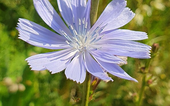 Foto: Lydia Brusendorf